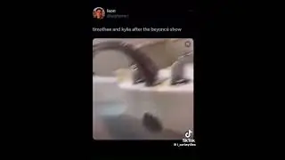 Timothee Chalamet bathtub meme 😂😂😂