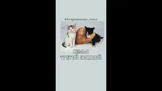 Как семья влияет на самооценку? Семья 