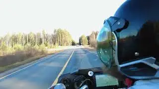 Поездка на 10 ноября на Harley-Davidson