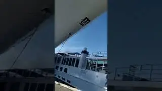 Massive Cruise Ship Crashes Into Boarding Dock