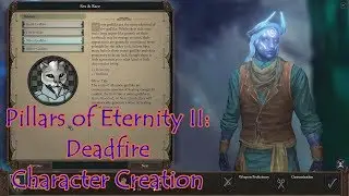 Pillars of Eternity 2: Deadfire - Character Creation - Cold - No History