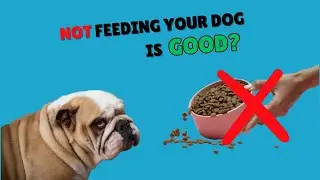 DON'T Feed Your Dogs???