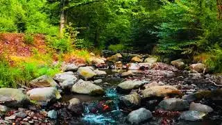 Most Beautiful Nature Video  #viral #nature #paradiseofrelaxing
