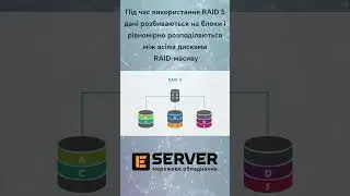 RAID 1 vs RAID 5 – в чому різниця?  #shortsvideo