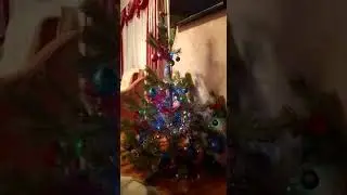 Колеса под баян