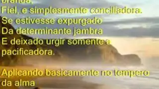 BOM RESULTADO