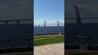 Набережная Севкабель Порт #питер #санктпетербург #севкабельпорт #море #shorts