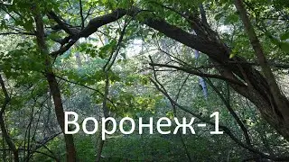 Прогулка по лесу в районе Воронеж-1 + заброшка. Сентябрь 2023