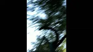 (FREE) DEAN BLUNT X JONATAN LEANDOER96 TYPE BEAT 