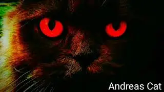Смешные коты и  кошки 2018!!!Новая подборка!!!