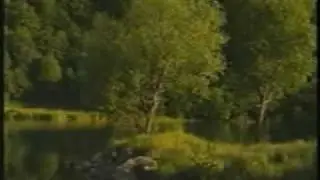 nihr.flv