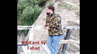 Into the Wild: A Lone Journey Unfolds