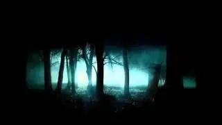 A night at the forest - Marshmallows on fire/Wind and crackling fire