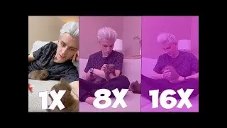 А4 КУПИЛ КОТИКОВ!//Ускорение танца x16   А4 и КОТИКИ!//А4//Смешные Моменты