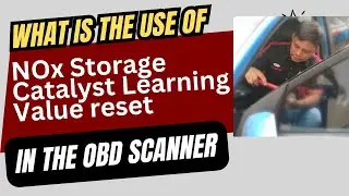 What is the NOx Storage Catalyst Learning Value Reset in the OBD Scanner?