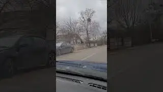 Беларусь, Минская область, Любанский район, деревня Закальное