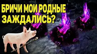 Зашел потестить бричи, прикормил донатер, дота схс с зрилами | Path of Exile 2 нарезка | madarapoe