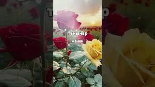 Кутманду танынар менен