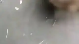 Dık eledi(ay ana)
