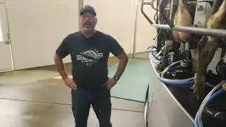 THE MILKING PARLOR | at the dairy farm