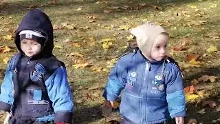 ОСЕННИЕ ясли