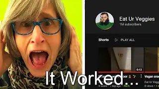 I Went Undercover As A Vegan On Youtube AND THIS HAPPENED...