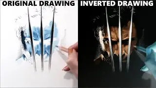 Inverted Drawing: WOLVERINE | Jasmina Susak