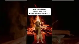 ¡¡PARA COMPARTIR!! #canada #parejainternacional #psicologiayreflexion #memes #relaciontoxica #mujer