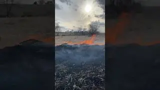 Controlled Burn | Restoring Habitat for Upland Birds