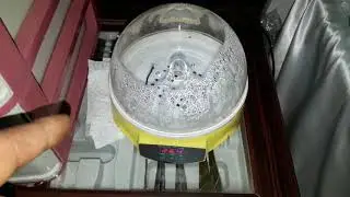 7li kuluçka  makinasının rezilligi