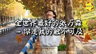 全世界最好的张万森 - 你是我的触不可及『你是我一直触不可及的遗憾，是在灯塔下抵达不了的港湾。』【动态歌词MV】