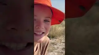 Wild elephants approach kids!