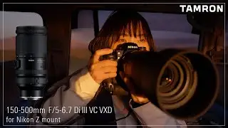 【タムロン公式】タムロン 150-500mm F5-6.7 (Model A057) × 写真家 松尾純 | ニコン Z マウント用 | 作例