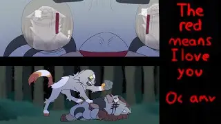 The red means I love you || warriors || [oc amv]