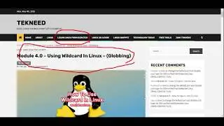 what is globbing / wildcard in Linux & How can I use the asterisk wildcard in Linux - (Module 4.0 A)