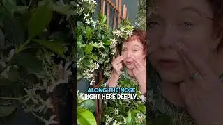 Clear your Sinuses with this technique!