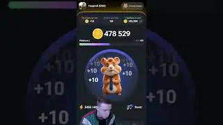 Когда стал CEO криптовалютной биржи в Hamster Kombat #shorts