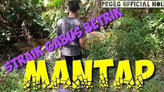 GABUS BETRIK||2020#PEGEGOFFIALNOL