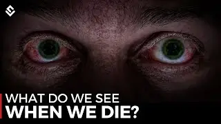 What Do We See When We Die?
