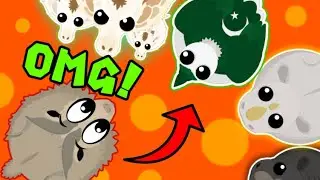 Mope.io| My Luckiest video ever!!! (without 