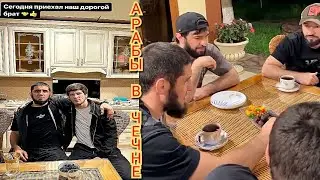Ислам Махачев спор в Чечне : Зубайра опять жениться.? Тагир в суете - Фаррух договорился с Арабами 🤔