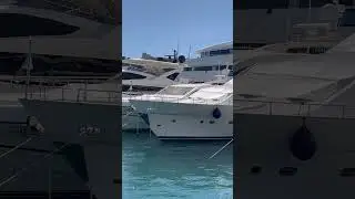 One Day in Monte-Carlo
