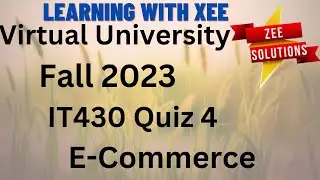 IT430 E-Commerce Quiz 4 Fall 2023 Virtual University of Pakistan