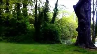 Santry Park Walk