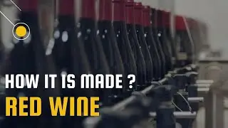 How Red Wine is Made I Process of making Red Wine