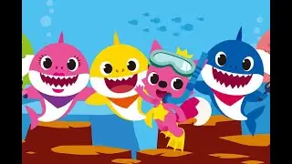 Baby Shark Cover