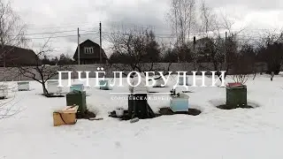 Пчёлобудни. Проверяем ульи после зимовника.