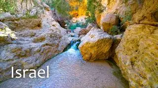 Incredible Israel! Ascending from the Dead Sea to the Judean Desert along a Mountain Stream.