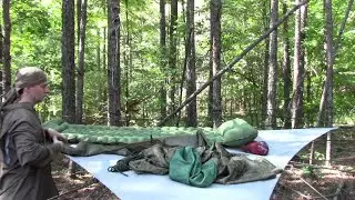 The Two Dollar Swamp Shelter