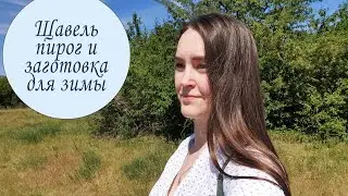 ЩАВЕЛЬ: Сладкий пирог и заготовка для зимы